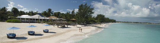 Caribbean & The Americas